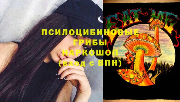 Альфа ПВП Алексин