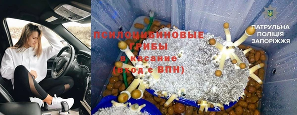 ПСИЛОЦИБИНОВЫЕ ГРИБЫ Алексеевка
